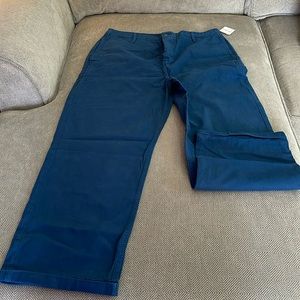 Free People Cropped Pants